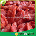 High quality dried golden goji berry